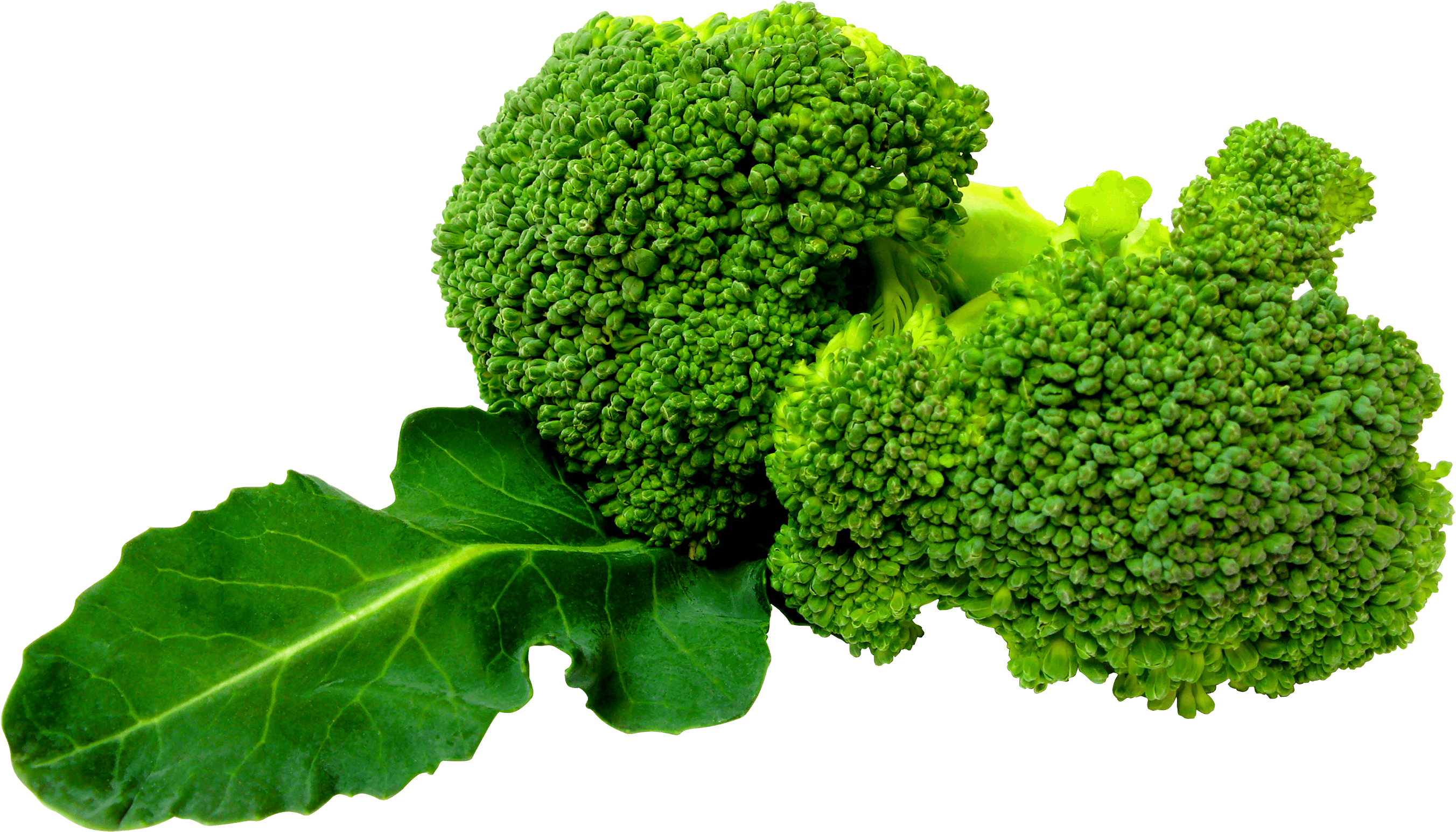 Green Broccoli Transparent PNG Image