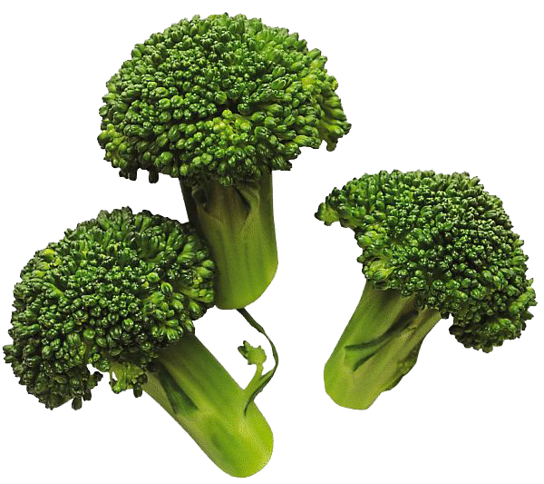 Broccoli Transparent PNG Image