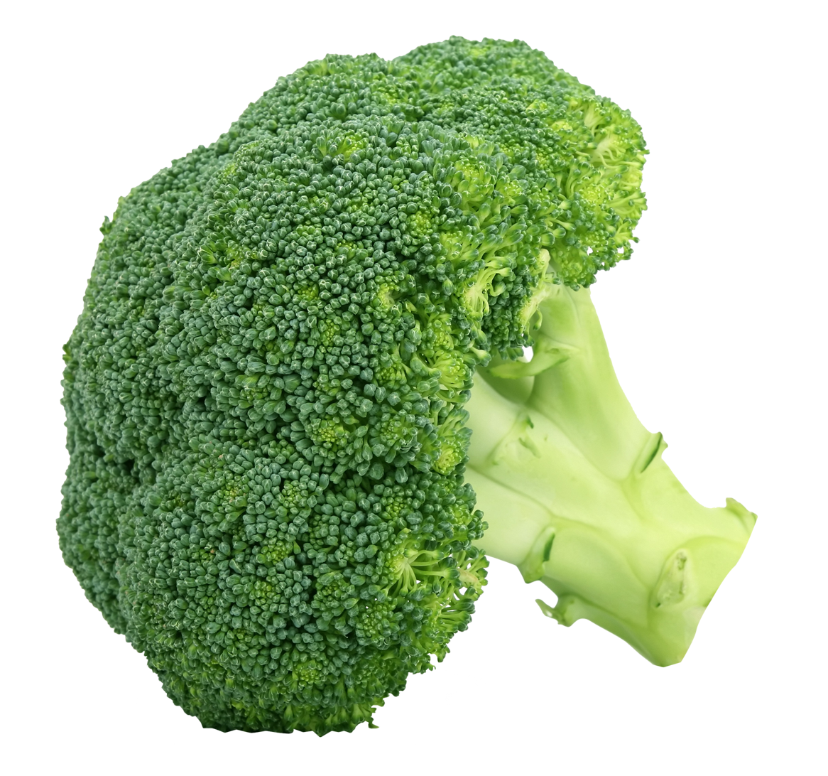 Broccoli Transparent PNG Image