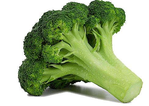 Broccoli Transparent PNG Image