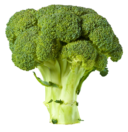 Broccoli Transparent PNG Image