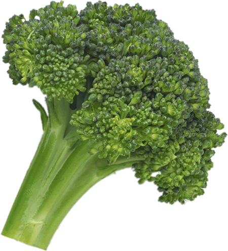 Broccoli Transparent PNG Image