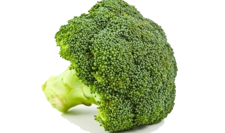 Broccoli Transparent PNG Image