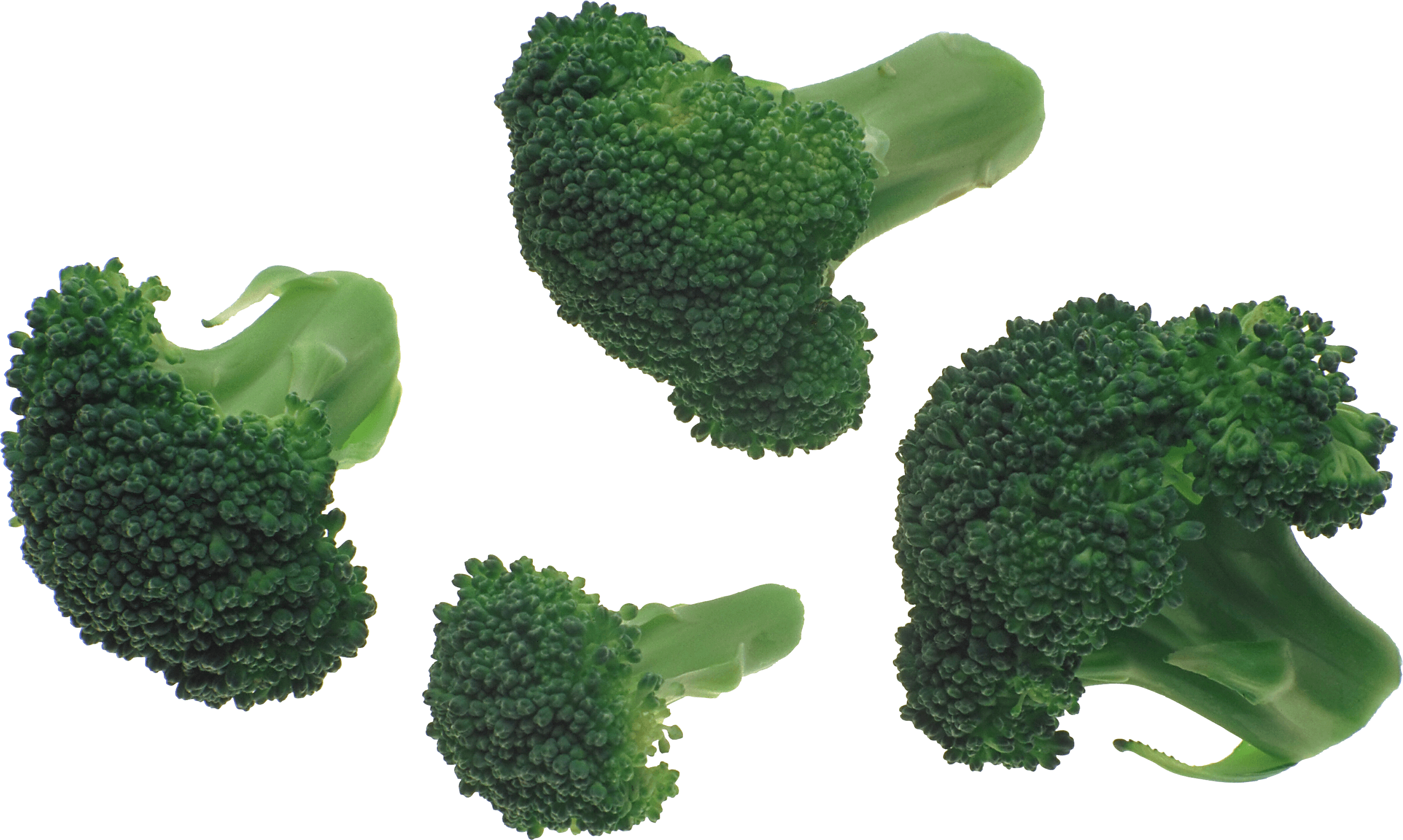 Broccoli Transparent PNG Image