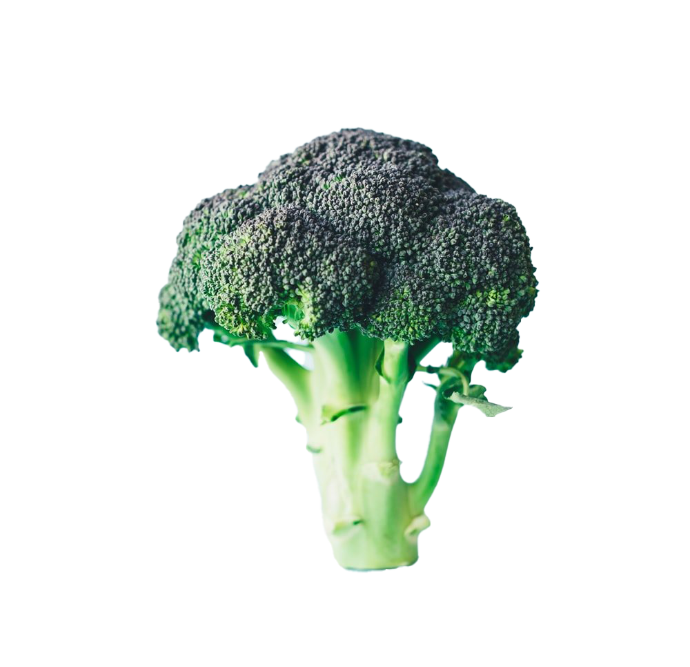 Green Broccoli Transparent PNG Image