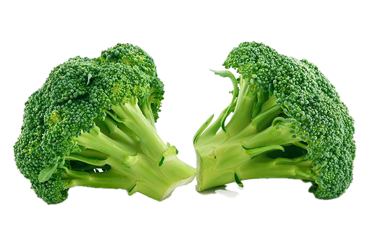 Green Broccoli File Transparent PNG Image