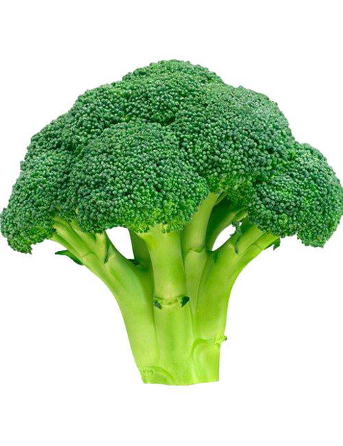 Green Broccoli Transparent PNG Image