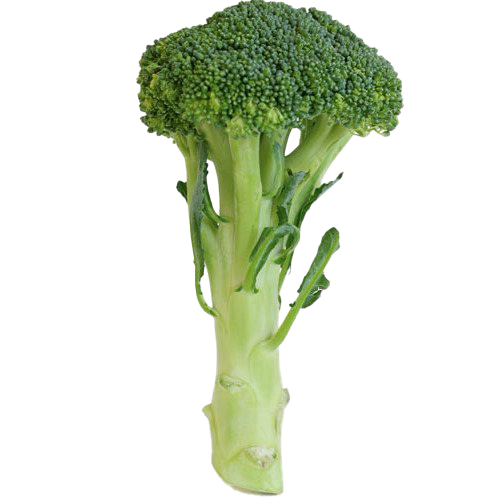 Green Broccoli Transparent PNG Image