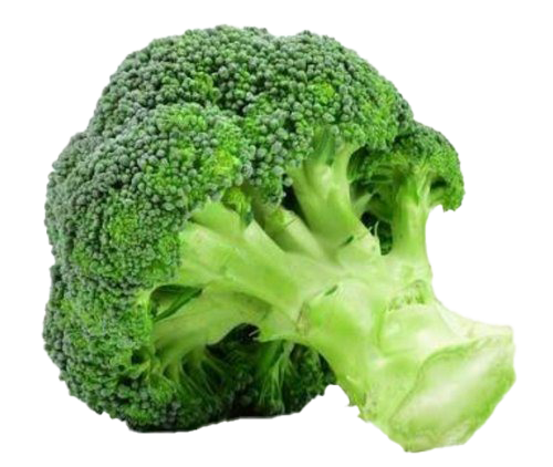 Green Broccoli Transparent PNG Image