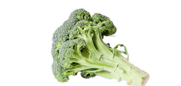 Green Broccoli Transparent PNG Image