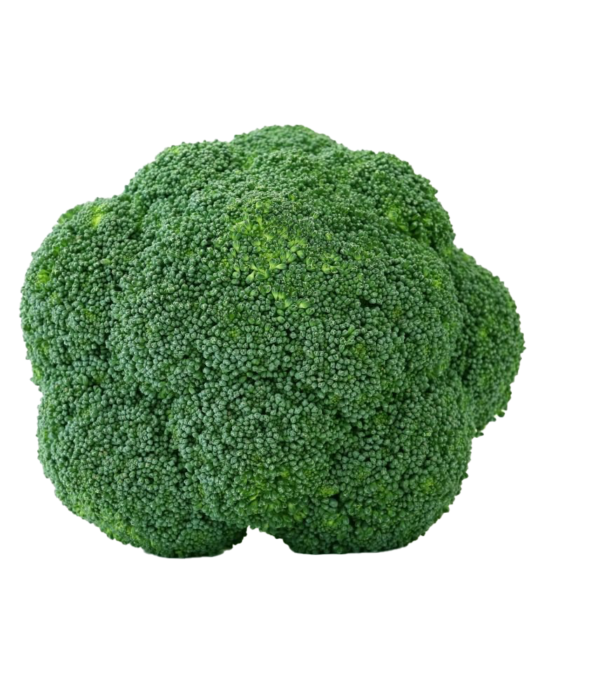 Green Broccoli Transparent PNG Image