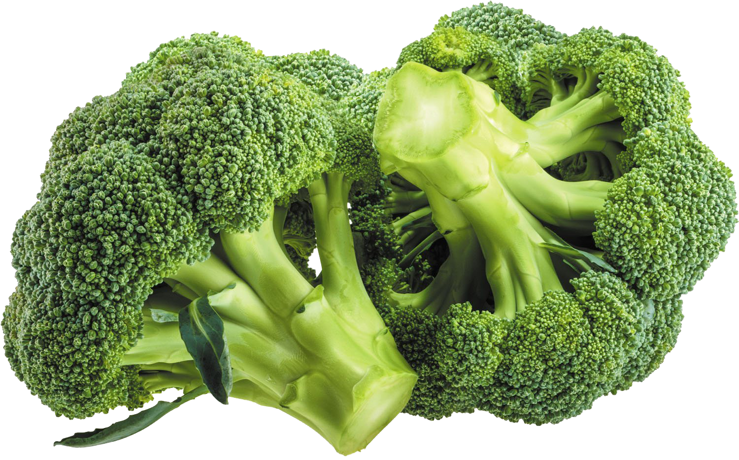 Green Broccoli Transparent PNG Image
