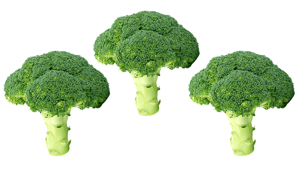 Green Broccoli Transparent PNG Image