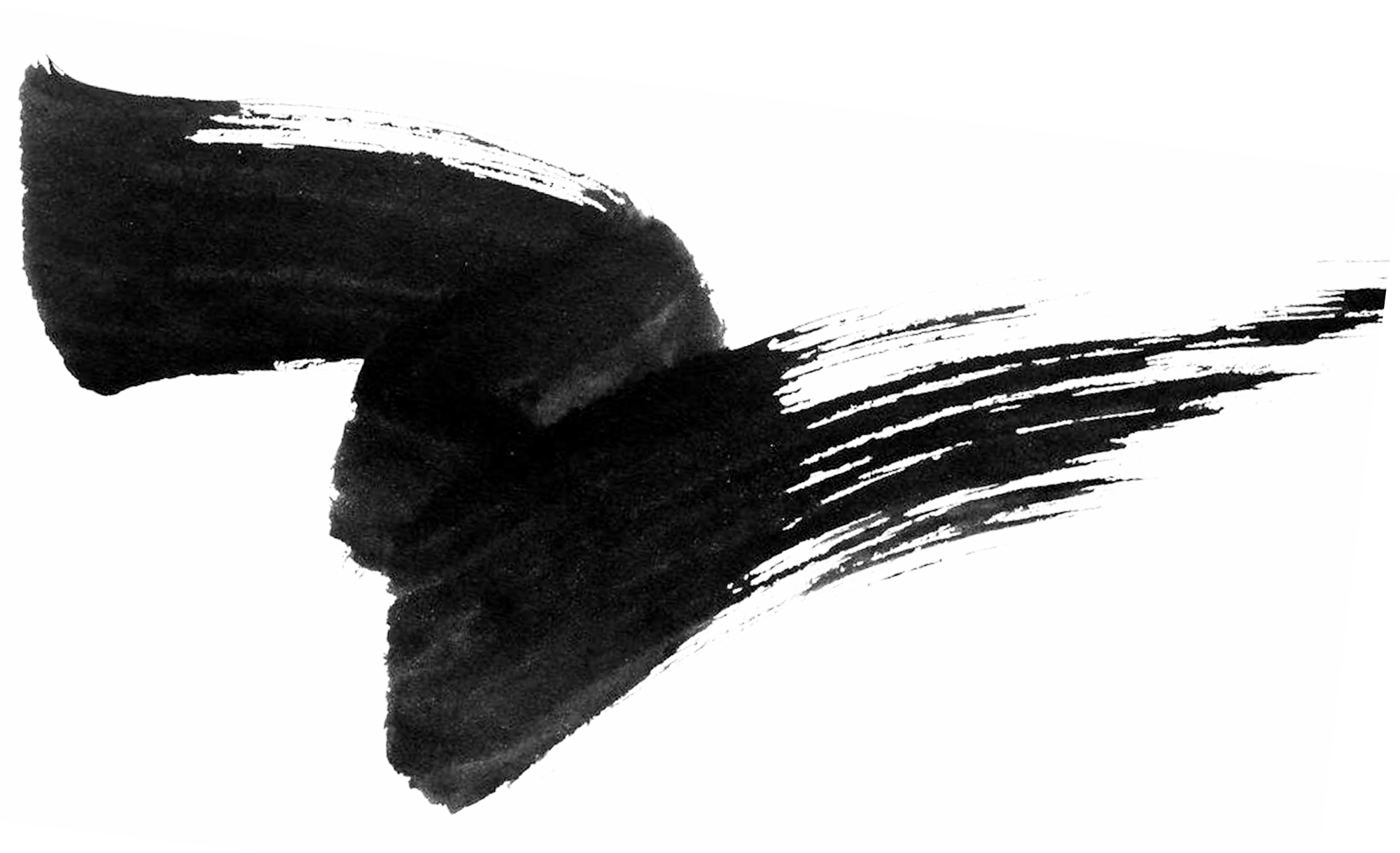 Monochrome graphy Brush Paintbrush Ink Transparent PNG Image