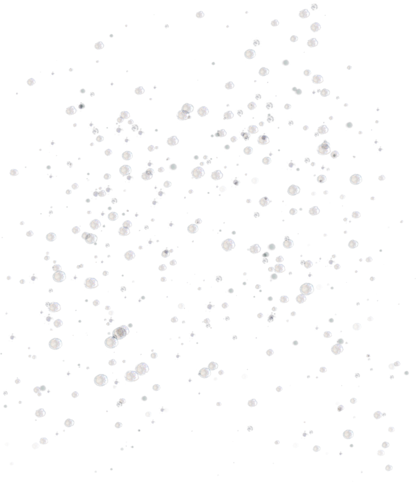 Bubbles Background Transparent PNG Image
