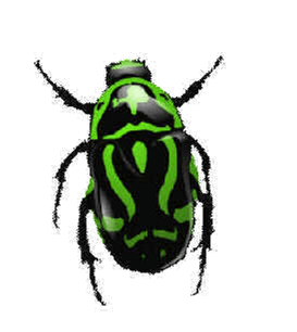 Green Bug Insect Transparent PNG Image