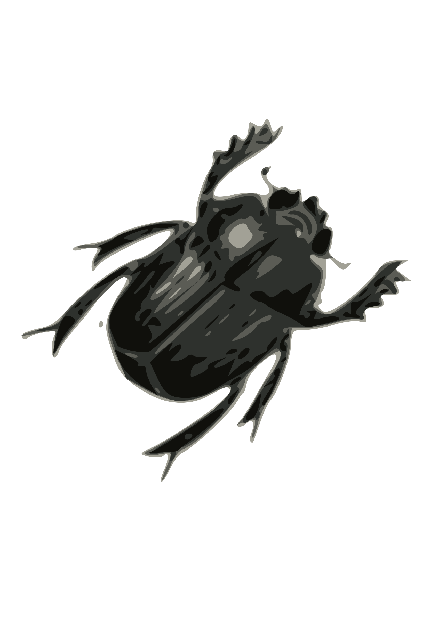 Bug Transparent PNG Image