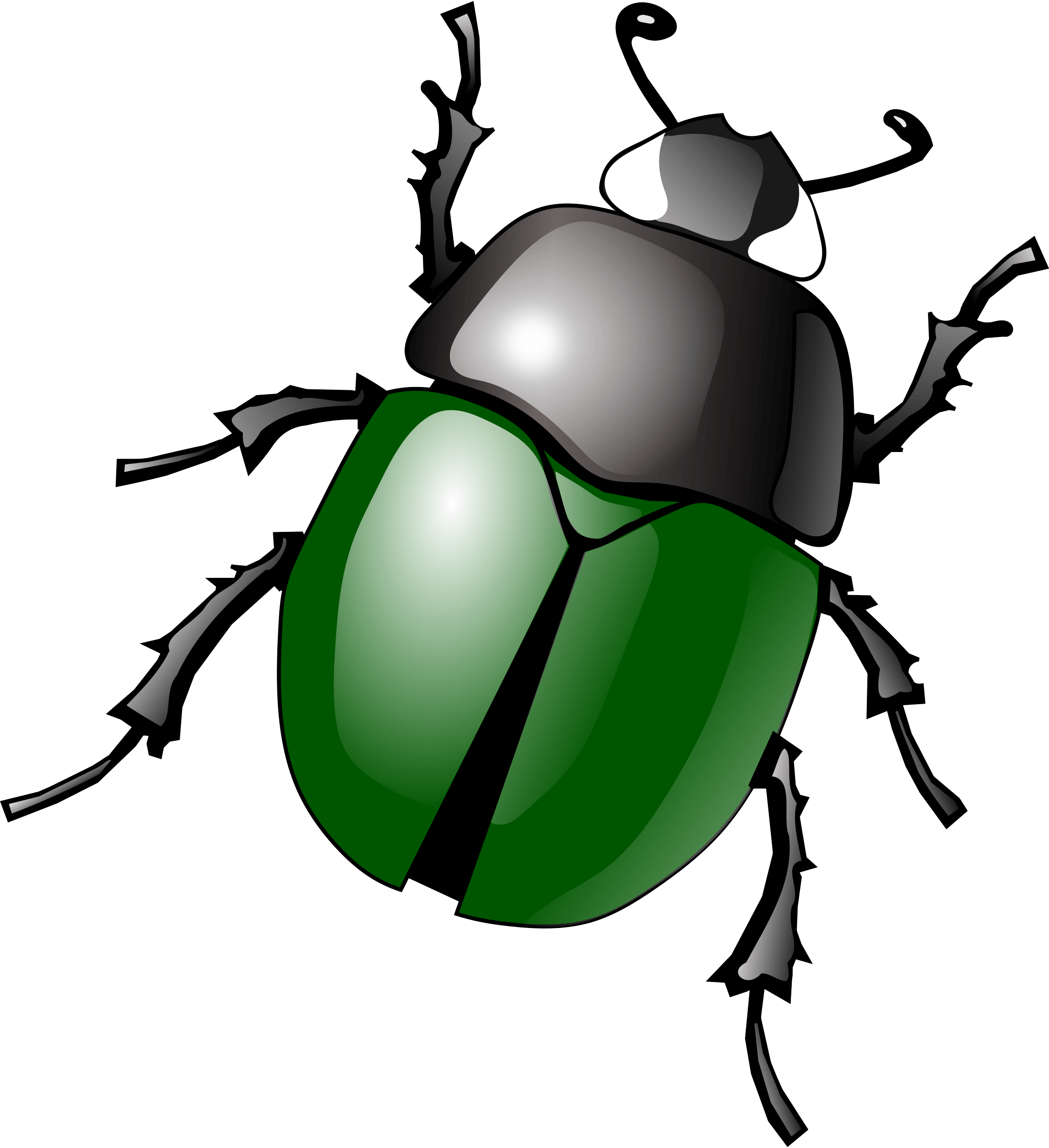 Bug Transparent PNG Image