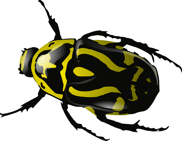 Yellow Bug Transparent PNG Image