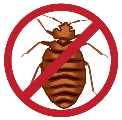 Bed Bug Transparent PNG Image