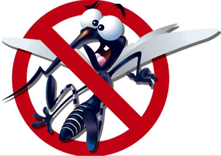 Mosquito Transparent PNG Image