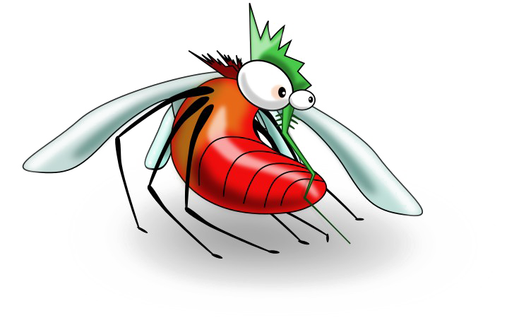 Mosquito Transparent PNG Image
