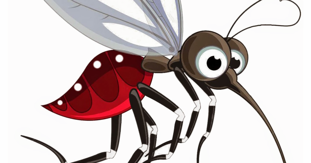 Mosquito Transparent PNG Image