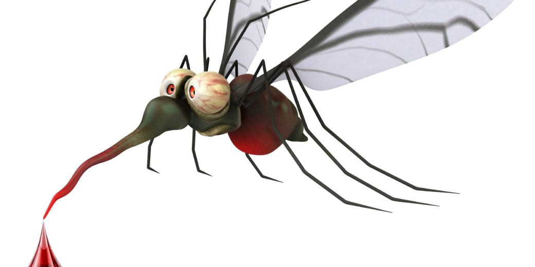 Mosquito Transparent PNG Image