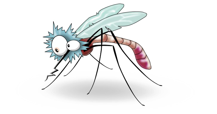 Mosquito Transparent PNG Image