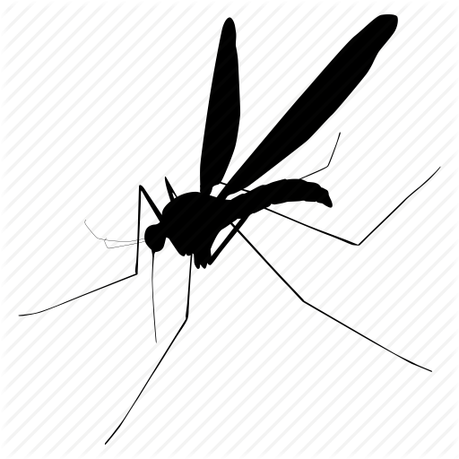 Mosquito Transparent PNG Image