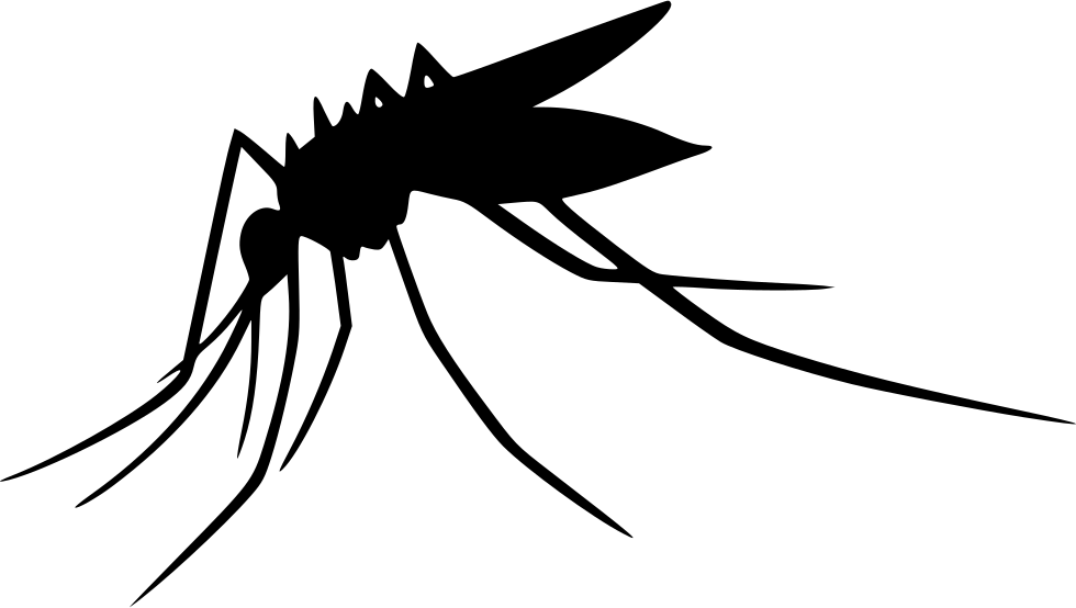 Mosquito Transparent PNG Image