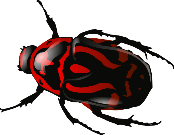 Red Insect Bug Transparent PNG Image