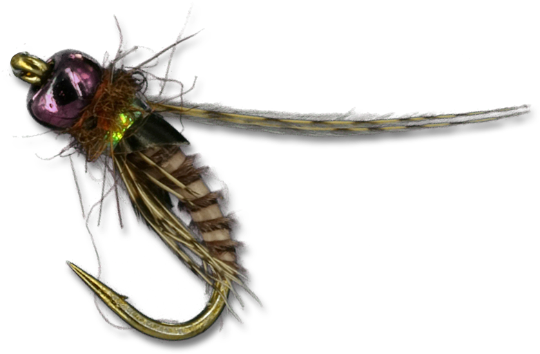 Mercers Bug Lightning Transparent PNG Image