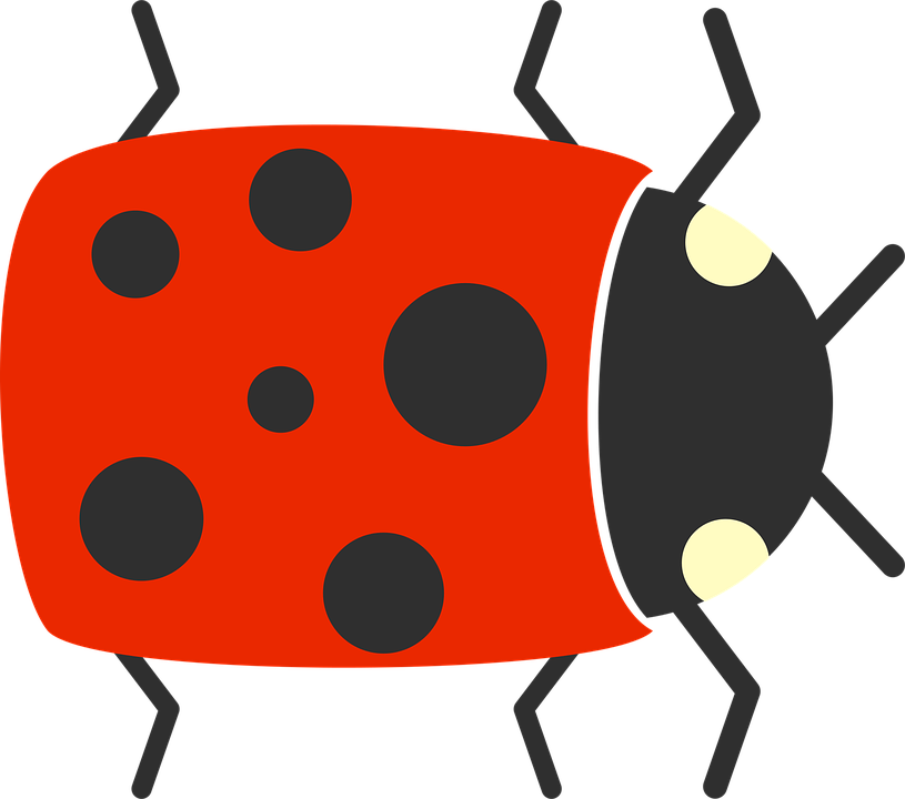 Ladybug Insect Cute Transparent PNG Image