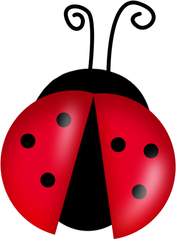 Ladybug Insect Cute Transparent PNG Image