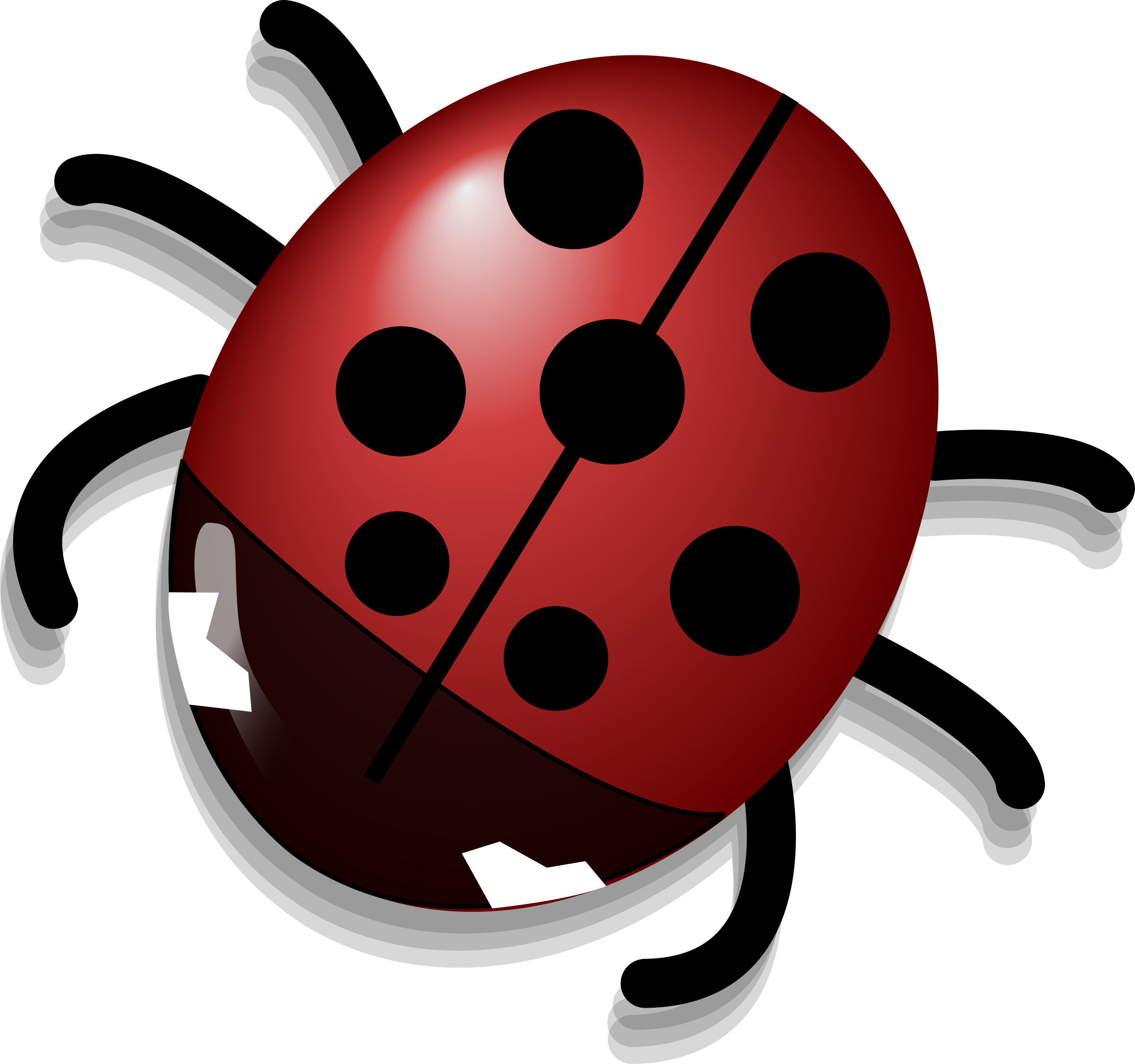 Ladybug Insect Cute Transparent PNG Image