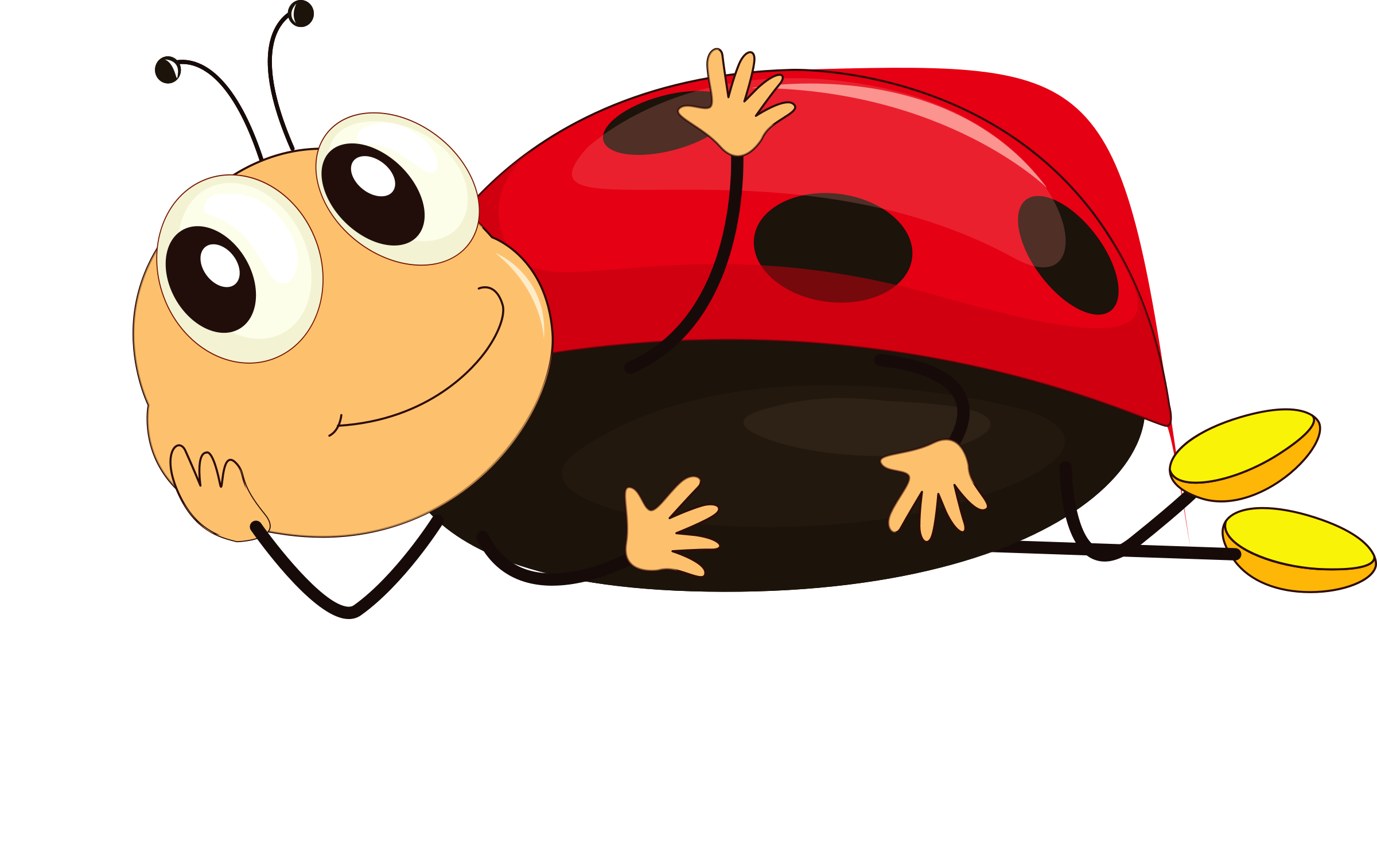 Ladybug Insect Cute Transparent PNG Image