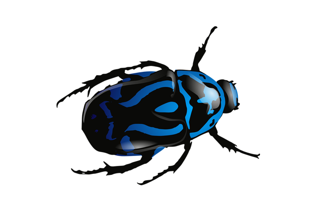 Pest Bug Bed Transparent PNG Image
