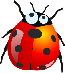 Bug 8 Transparent PNG Image