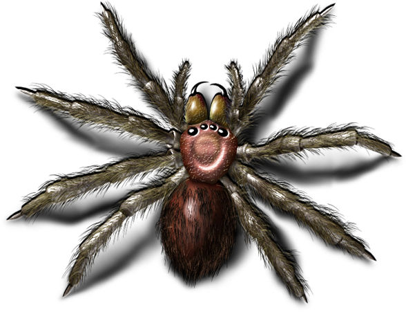 Bugs Transparent PNG Image