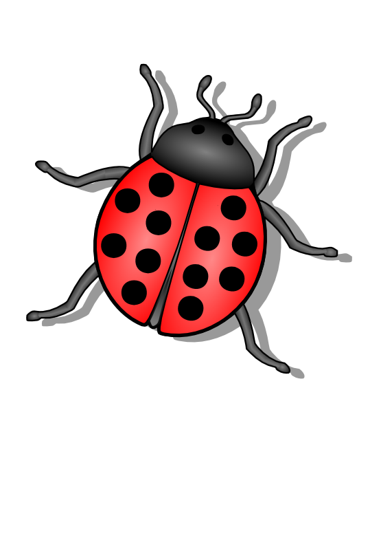 Bug 6 Transparent PNG Image