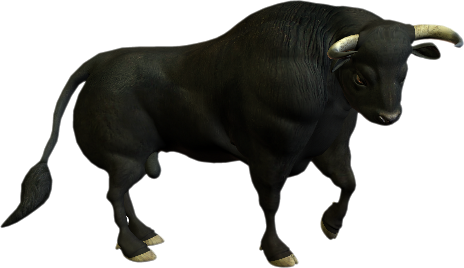 Bull Transparent PNG Image
