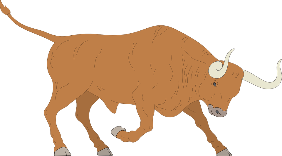 Vector Bull File Transparent PNG Image