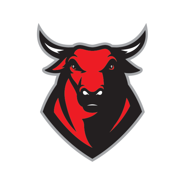 Vector Bull Face Transparent PNG Image