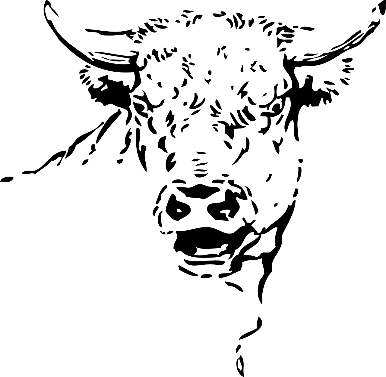 Vector Bull Face Transparent PNG Image