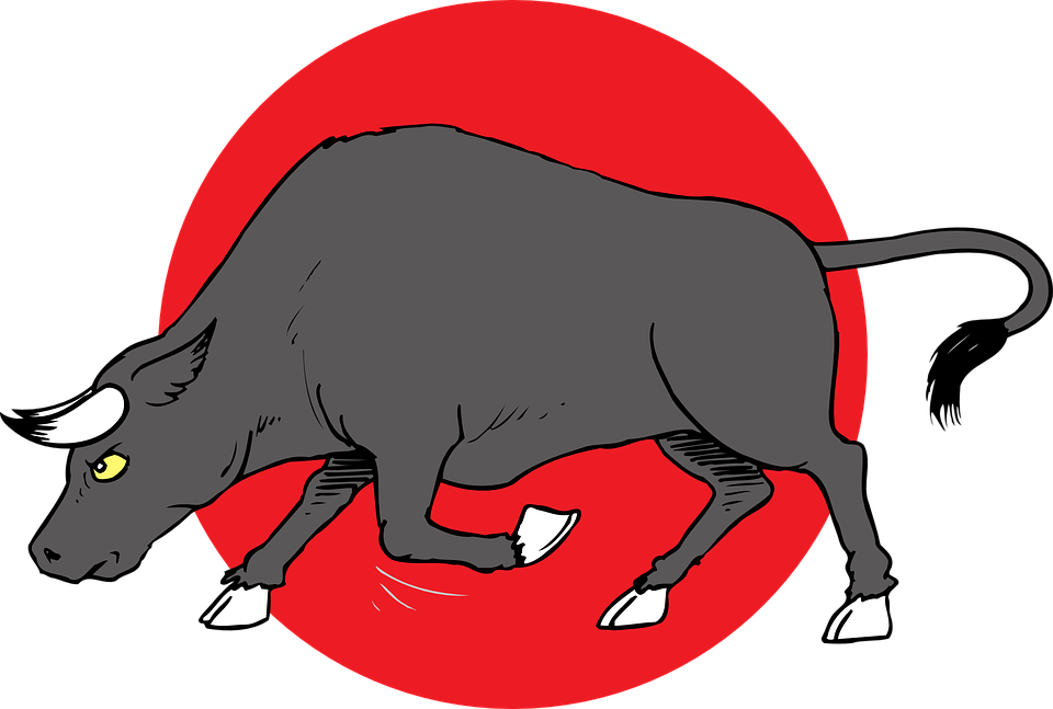 Logo Vector Bull Transparent PNG Image
