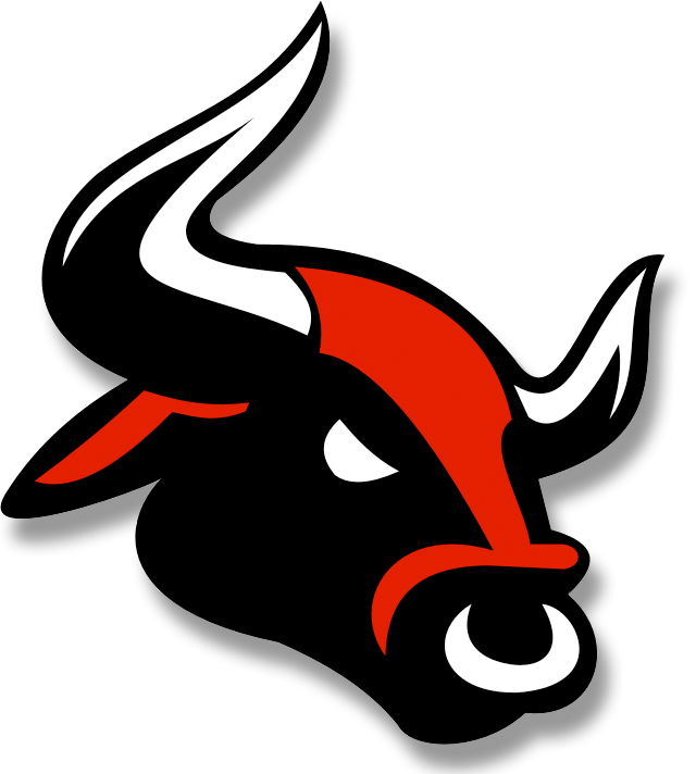 Bull Transparent PNG Image