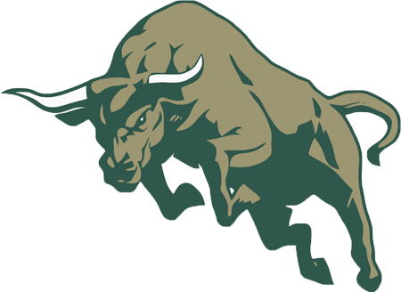Bull Transparent PNG Image