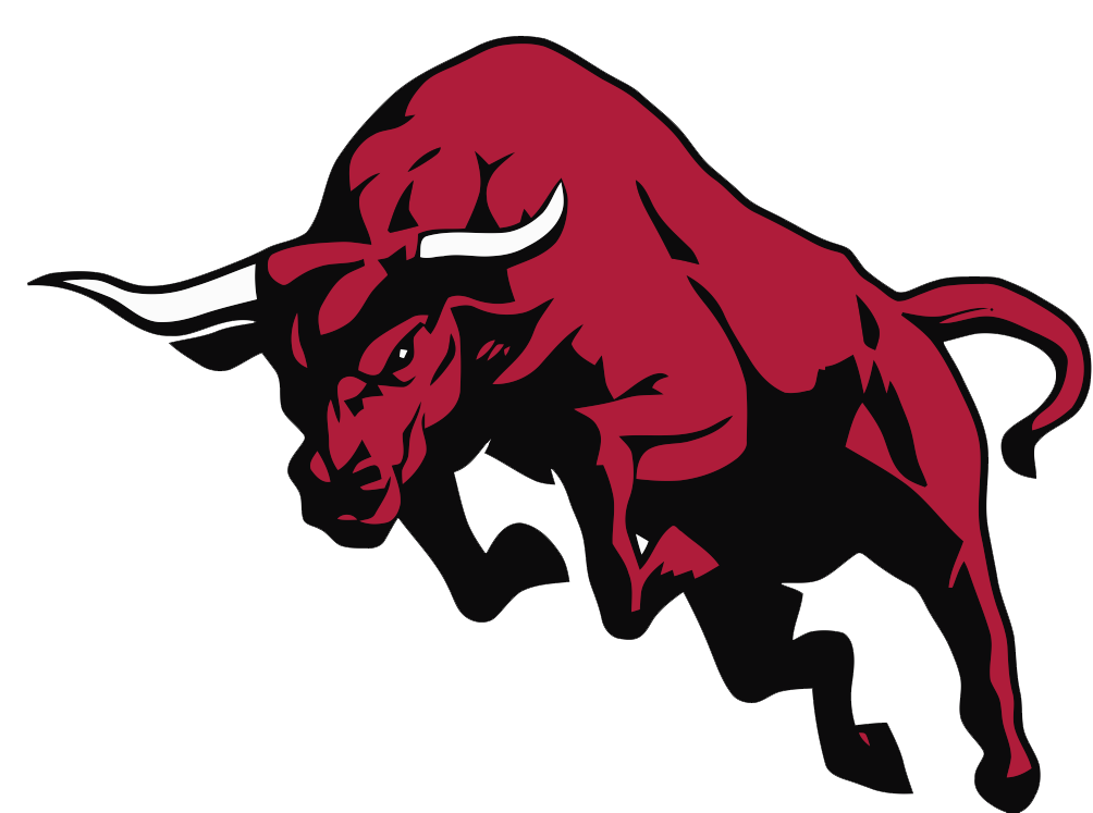 Bull Transparent PNG Image