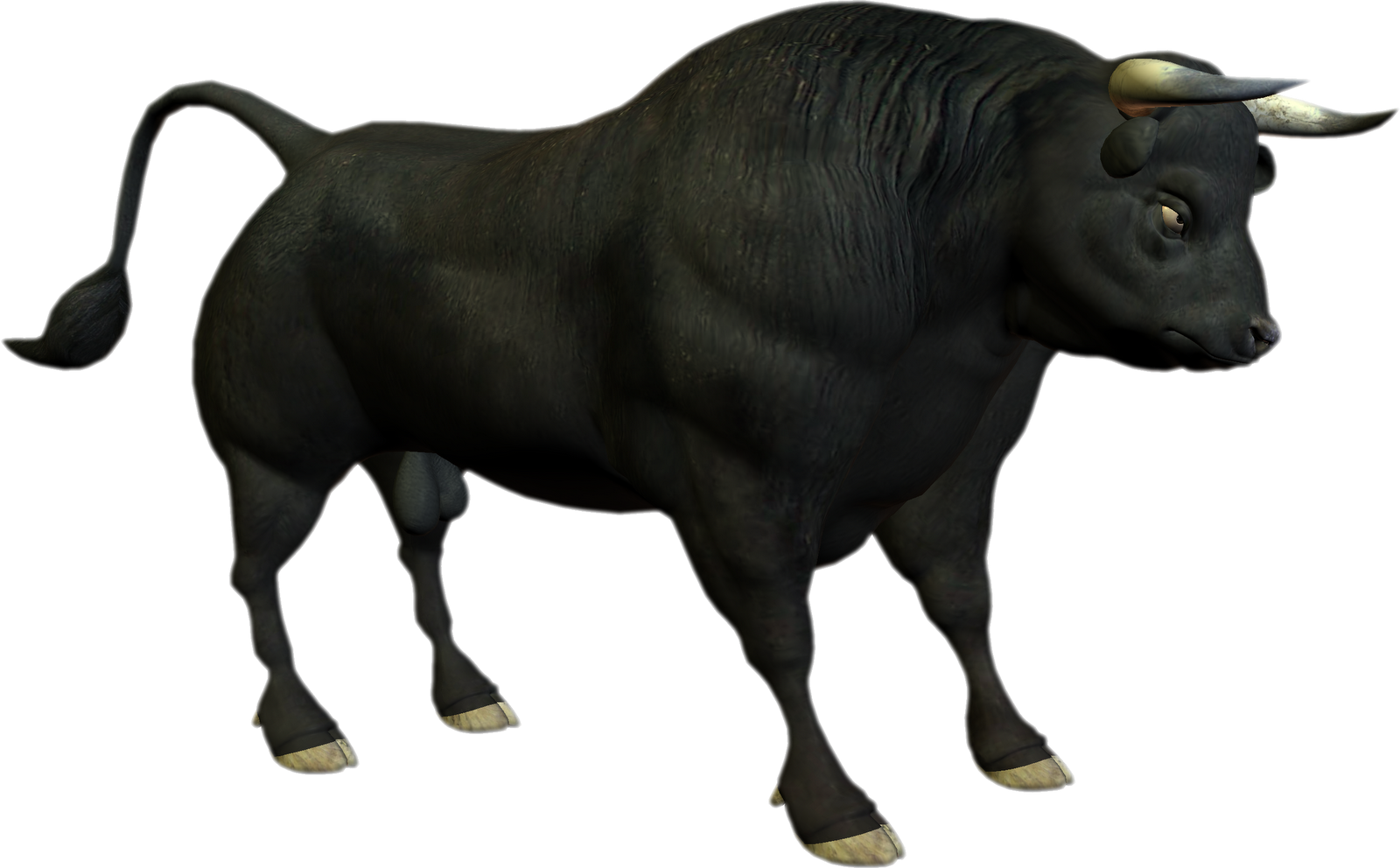 Bull Transparent PNG Image